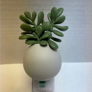 BBW Wallflower Plug In Succulent Scent Control NWT’s